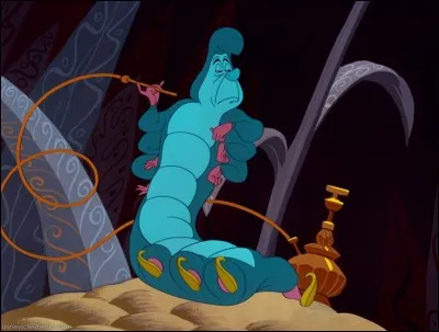 La chenille fume tranquillement avec une sorte de pipe. Comment s'appelle cet appareil ?