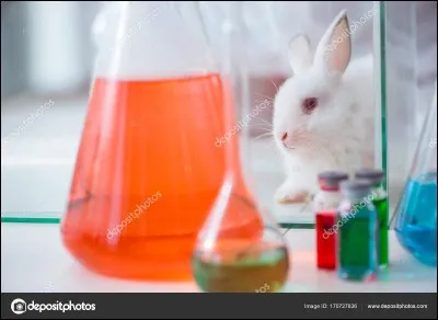 Le nom scientifique du mot "lapin" est...