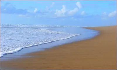 Quelle expression latine se traduit par "labourer le rivage" signifiant "travail gaspillé" ?