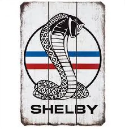 Quel est le pr&eacute;nom du cr&eacute;ateur de Shelby ?