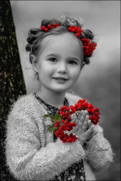 Et enfin sous quel nom connaissons-nous la plante ornementale, parée de petites boules orange, appelée aussi "oranger du savetier" ?