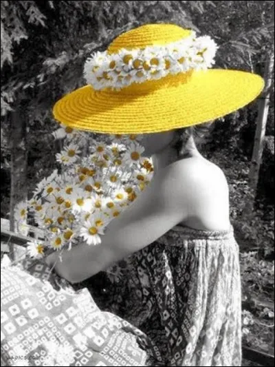 Qui a écrit "Un amour de Swann" ?