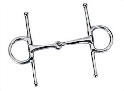 Comment s'appelle ce mors ?