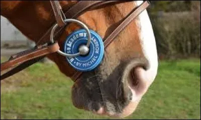 À quoi servent les rondelles de mors ?