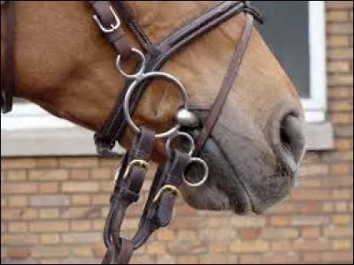 Le Pessoa a un effet...