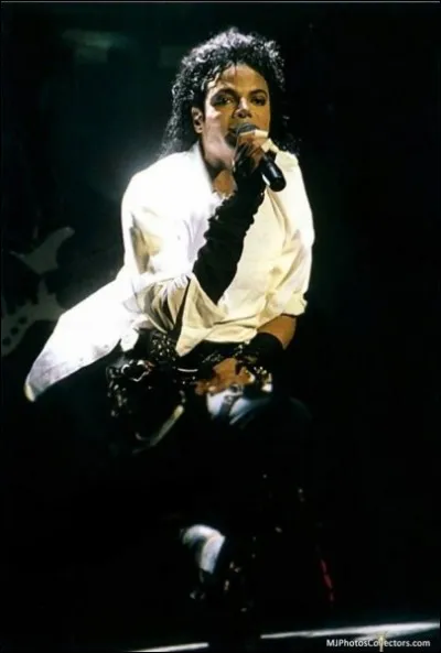 Lors du ''Bad World Tour'', quelle chanson Michael Jackson reprogramma-t-il dans son concert à la demande pressante de Lady Diana ?