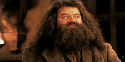 Comment s'appelle le demi-frère de Hagrid ?