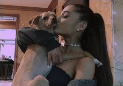 Quel est le nom du deuxième chien d'Ariana ?