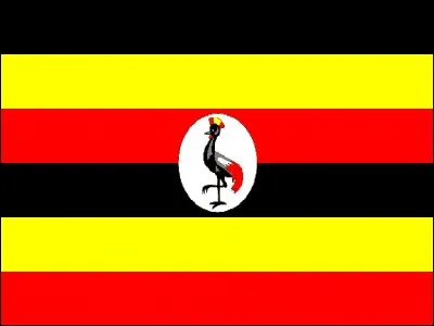 Le drapeau de l'Ouganda est orné d'un cercle blanc portant une grue royale, symbole national du temps de la domination anglaise, se tenant sur une patte et faisant face au mât. Quel dictateur prend le pouvoir par un coup d'État le 25 janvier 1971 ?