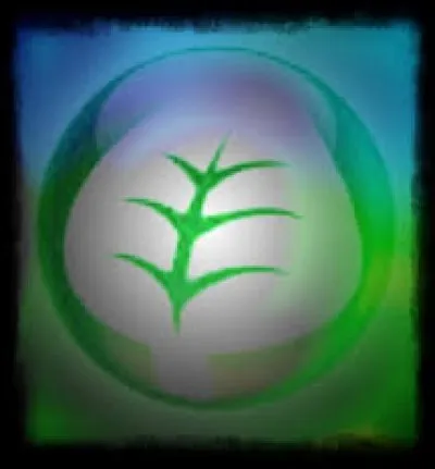 Et en Plante, quel est-il ?