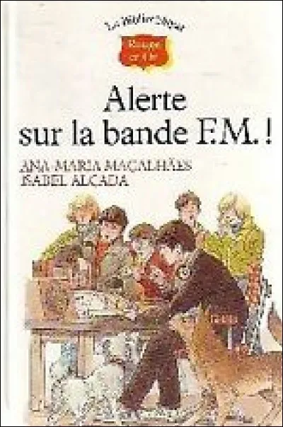 Quel est le pays d'origine de la série "La bande F.M."?