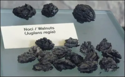 Qu'est-ce que cela ?