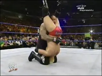 Quelle est cette prise ?