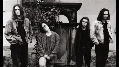 En quelle année s'est formé le groupe ?