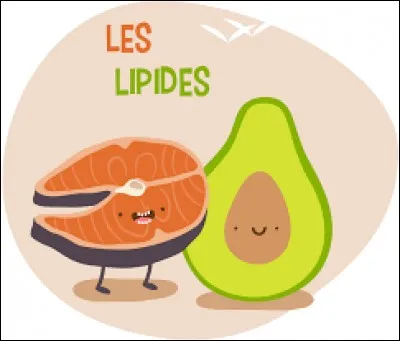Quelle est la composition du lipide? (matière vivante qui nous construit et que nous consommons dans notre alimentation)