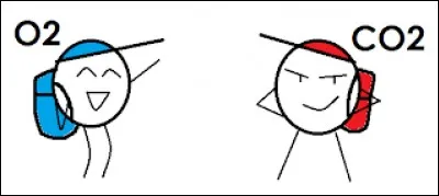 Il/elle permet aux végétaux de réaliser leur photosynthèse. Coche la mauvaise réponse.