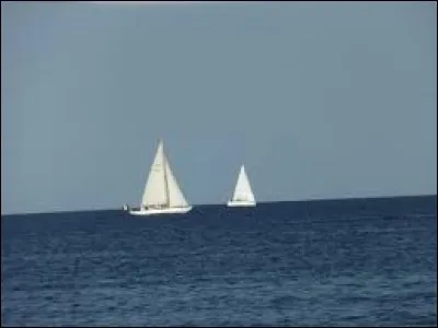 "Je te donnerai tous les bateaux, tous les oiseaux, tous les soleils toutes les roses toutes les choses qui t'&eacute;merveillent petite fille de ma rue Tu n'as jamais vu tous les bateaux tous les oiseaux, tous les soleils..." : qui chante ?