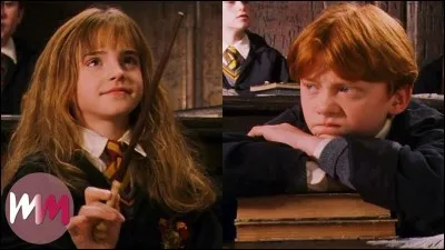 Ces personnages sont Hermione et Ron.