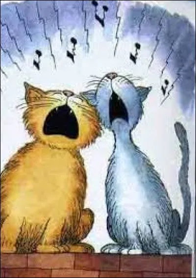 Si vous avez "une voix de Stentor" vous avez :