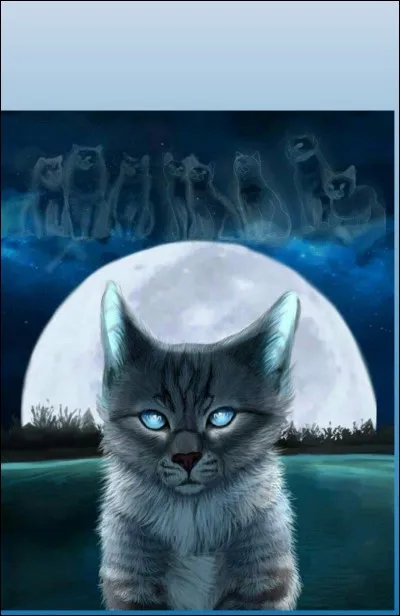 Quel est le chat sur cette image ?