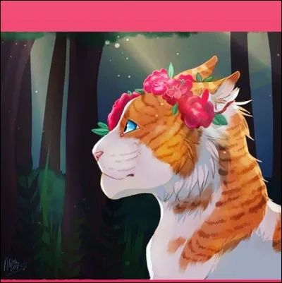 Qui est cette chatte ?