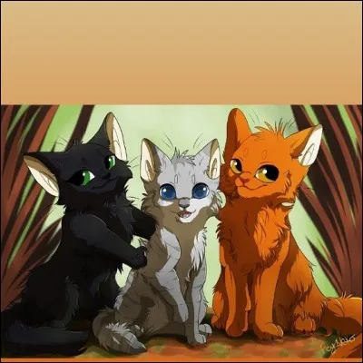 Qui sont ces trois là ?