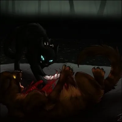 Qui est ce chat, juste trop chou ?