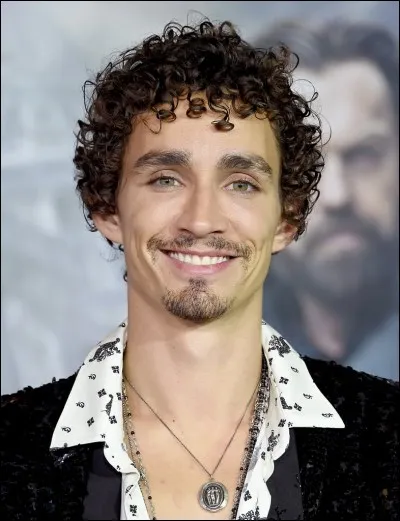 Dans quoi Robert Sheehan a-t-il joué ?