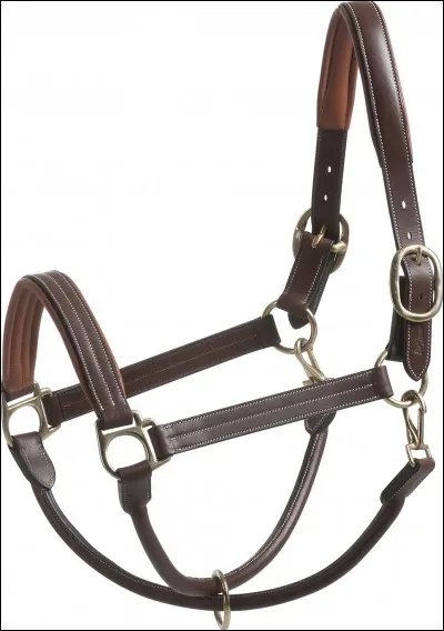 Quelles sont les parties du lico l?