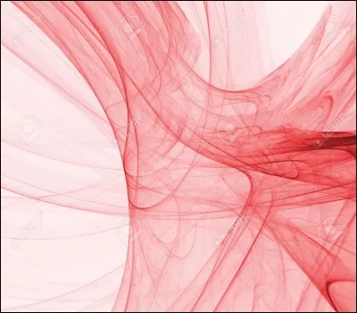 Qui est l'auteur du "Si&egrave;cle de Louis XIV" ?