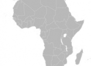 Quiz Animaux d'Afrique