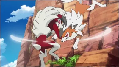 Combien y a-t-il de Lougaroc sur cette image ?