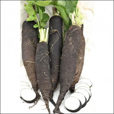 Combien y a-t-il radis noirs sur cette image ?