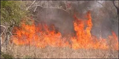 En été, fais attention aux feux de...