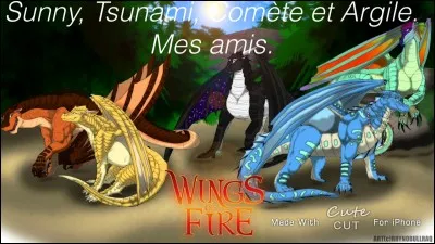 Qui capture les Ailes de Pluie et pourquoi ?