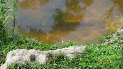 Que voyez-vous sur cette photo ?