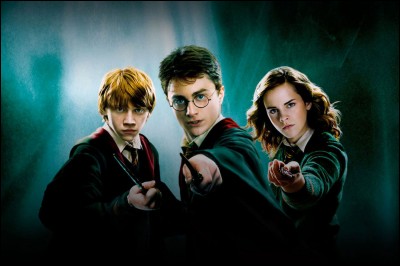 Comment s'appellent les compagnons de Harry Potter ?