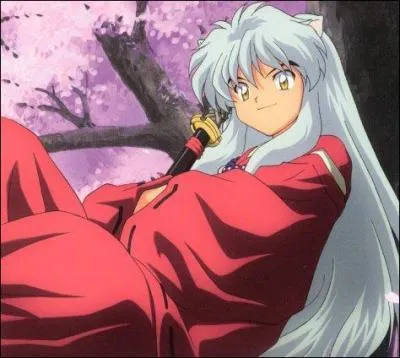 De quel manga suis-je le personnage ?