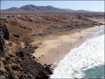 De quelle suite romanesque l'ouvrage "Au Bonheur des Dames" fait-il partie ?