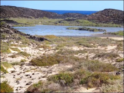 Quelles dents peuvent être dites "du bonheur" ?