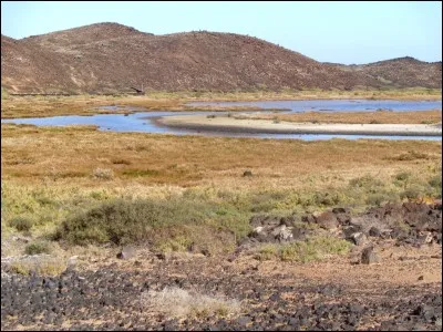 Quel est le pluriel du mot "porte-bonheur" ?
