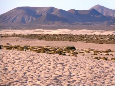 Quel est ce petit pays asiatique, enclavé dans l'Himalaya, célèbre pour son indice unique au monde que ses dirigeants nomme fièrement le "bonheur national brut" ?