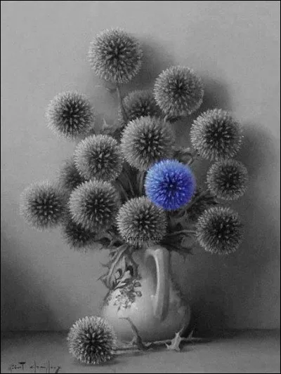 Sous quel nom plus commun connaissons-nous l'Onopordum acanthium ?