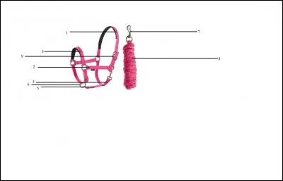 Quel est le bon ordre ?