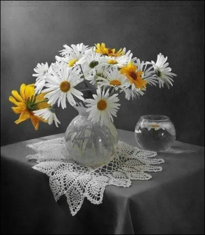 Peut-&ecirc;tre avez-vous entendu parler de la "marguerite de Fibonacci" ? Qui &eacute;tait Fibonacci ?