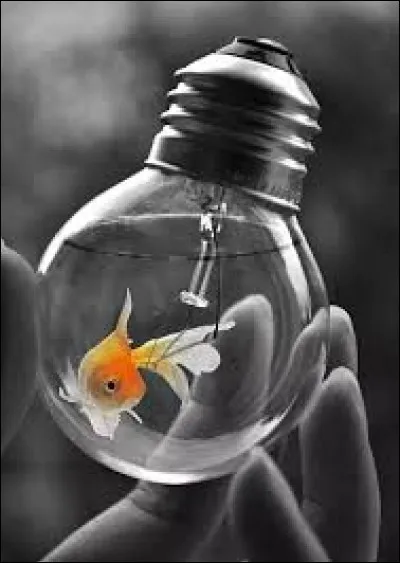 Qui finalisa l'invention de l'ampoule &eacute;lectrique ?