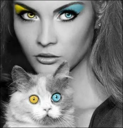 Comment sont les yeux de ces personnages ?