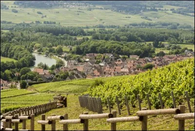 Quelle ville est r&eacute;put&eacute;e pour son champagne ?