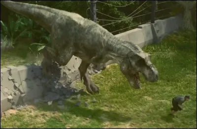 De quel jeu vient-elle ?