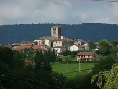 Saint-Amant-Roche-Savine est un village Puydômois situé en région ...